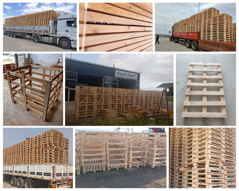 Grevenbicht Houten Kisten, Europallets Groothandel Kopen